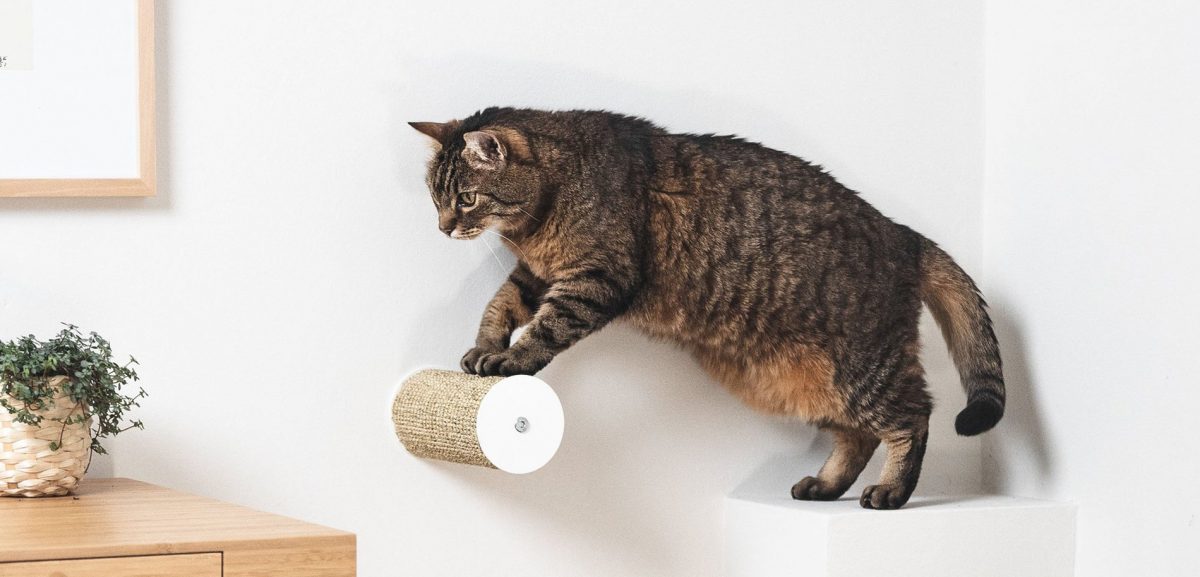 LucyBalu entstand aus einem ursprünglich gar nicht kommerziellen Einfall von Sebastian Frank: Er suchte einfach gute Katzenmöbel für die eigenen Samtpfoten. Im Bild zu sehen: Hüpfstamm und Kletterstufe Jumper