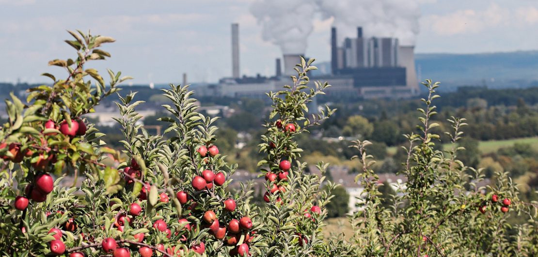 Zum 40. Jubiläum lädt das Öko-Institut mit einem Katalog wissenschaftlich abgesicherter Ideen für eine nachhaltige Zukunft zum gesellschaftlichen Diskurs. Symbolbild Apfelbaum, Kraftwerk.